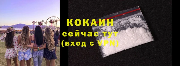 шишки Арсеньев