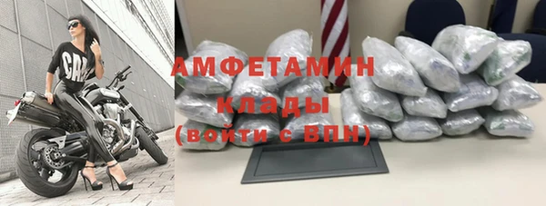 шишки Арсеньев