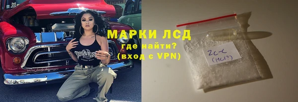 шишки Арсеньев