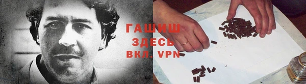 шишки Арсеньев