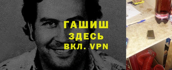 шишки Арсеньев